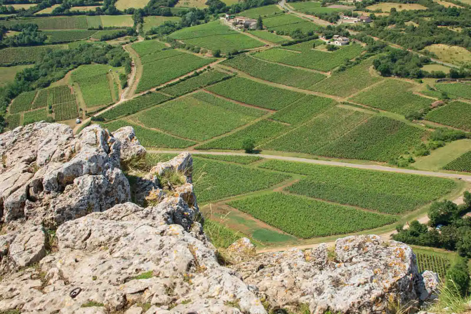 A view over the vineyards near Solutré-Pouilly in the Mâconnais district of Bourgogne, France.