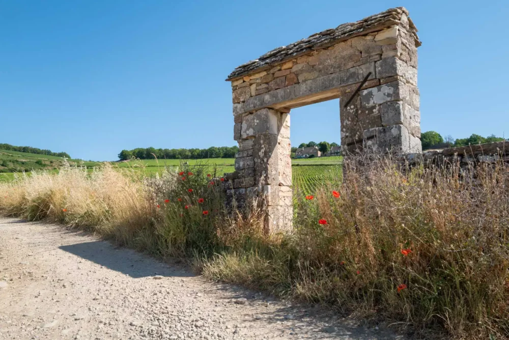 Stone gate into Premier Cru vineyard in Givry, France.