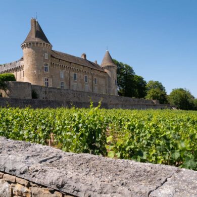 Château de Rully and a clos vineyard, Burgundy, France.