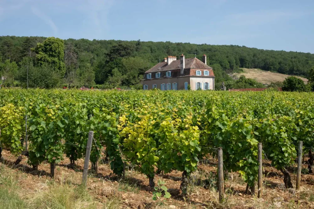 Estate and vineyard in the Côte de Nuits near Nuits-St-George, France. Bourgogne.