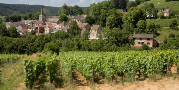The village of Pernand-Vergelesses in Burgundy, France.