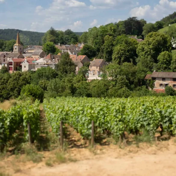 The village of Pernand-Vergelesses in Burgundy, France.