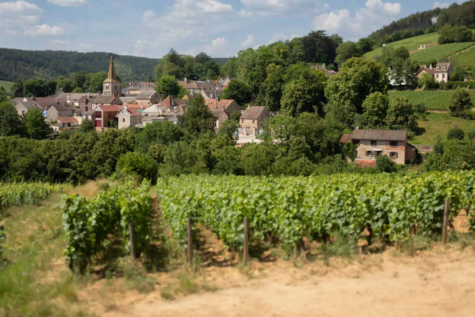 The village of Pernand-Vergelesses in Burgundy, France.