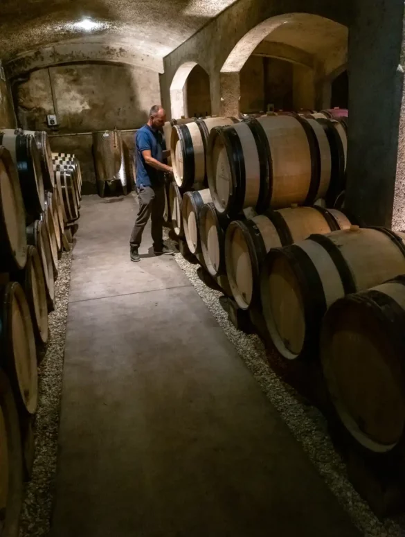 A Burgundy winemaker pulls wine from a barrel in his dimly lit cellar.