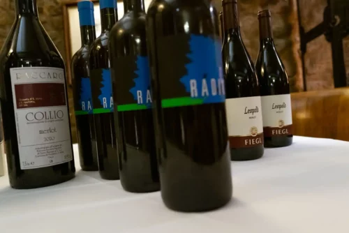 Red wines of the Italian Collio DOC.