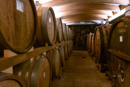 The dimly lit wine cellar at the famous orange wine focused winery Radikon in Oslavia, Italy.