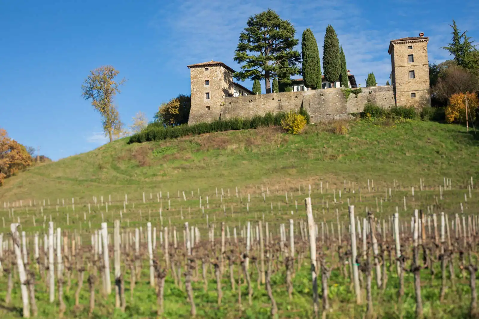 Collio vineyards below a hilltop castle in the wine village of Ruttars (Friuli Venezia-Giulia) Italy.