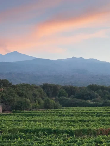 Mount Etna smolders from the summit as the sun sets in a pink glow, near Castiglione di Sicilia.