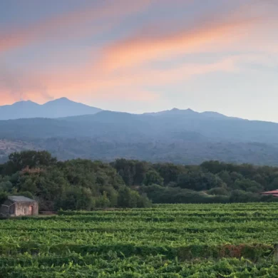 Mount Etna smolders from the summit as the sun sets in a pink glow, near Castiglione di Sicilia.