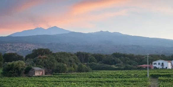 Mount Etna smolders from the summit as the sun sets in a pink glow, near Castiglione di Sicilia.