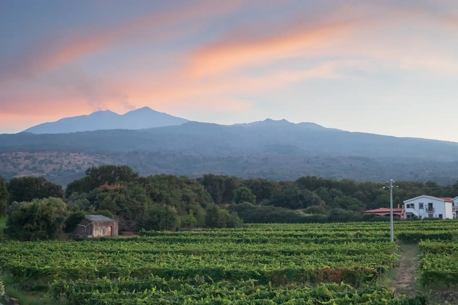 Mount Etna smolders from the summit as the sun sets in a pink glow, near Castiglione di Sicilia.