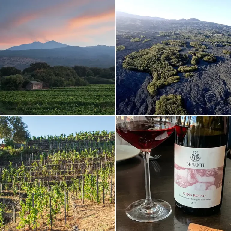 collage of Etna Rosso vineyards, wines and landscape
