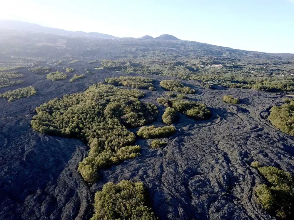 Black lava flow from 1982 near the town of Randazzo on the north slope of Mount Etna.