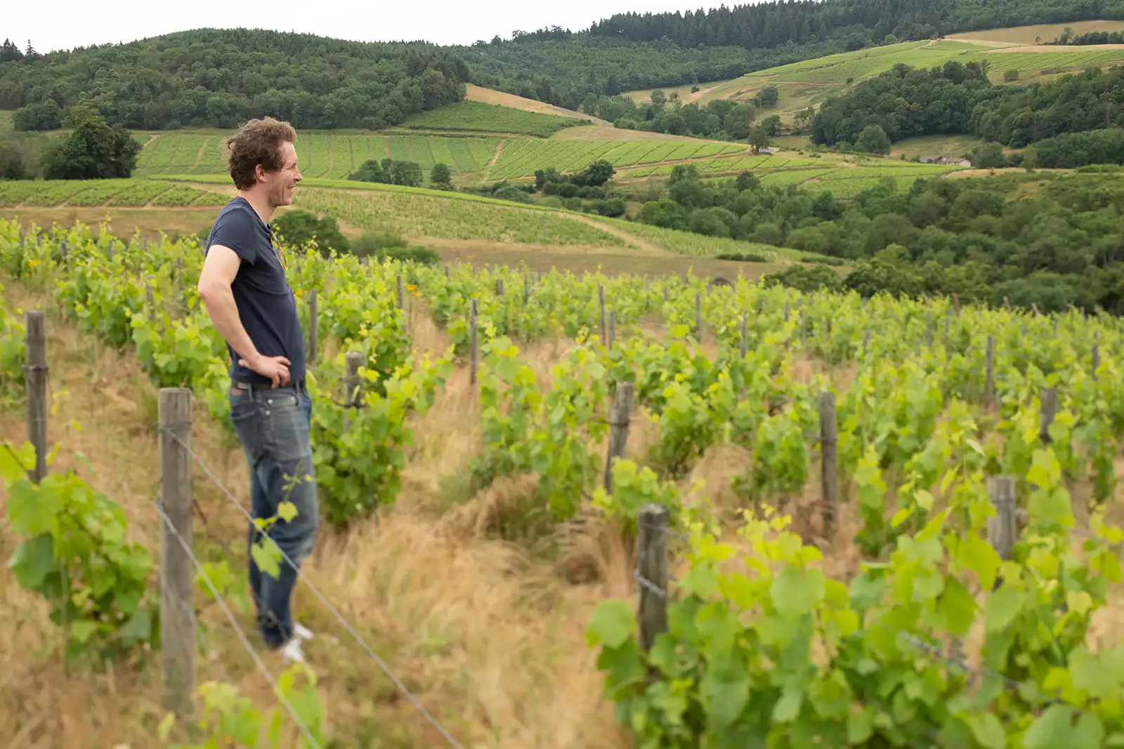 Stéphane Mathieu overlooking the vineyard of Domaine Valma in Fleurie, France