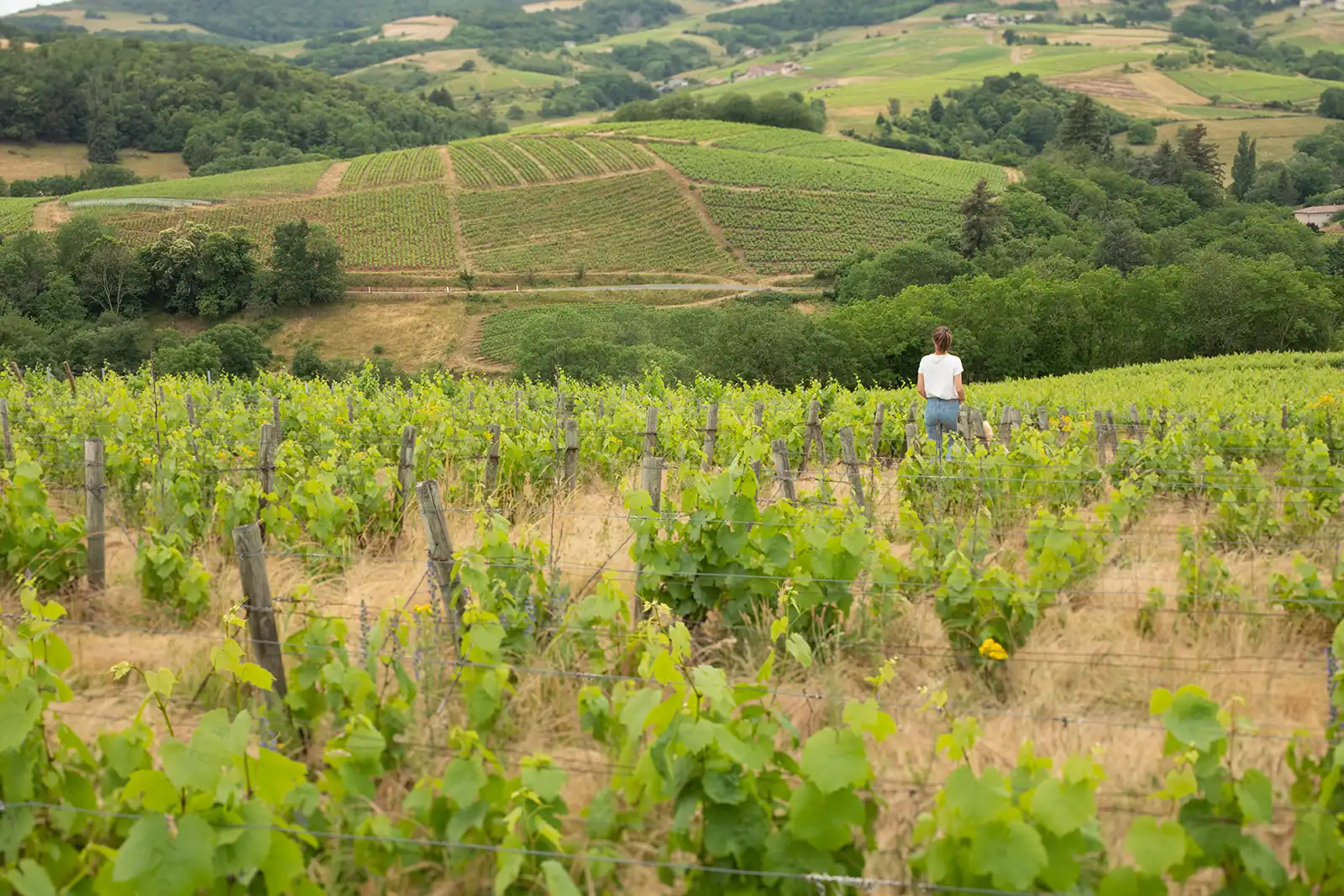 Winemaker Valentine Mathieu amidst her vineyard in Fleurie.