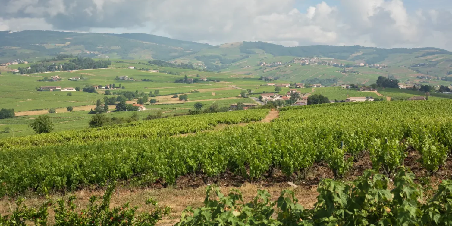 The view of Morgon and Fleurie from the top of the Côte du Py vineyard in Beaujolais, France.