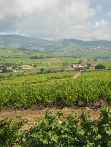 The view of Morgon and Fleurie from the top of the Côte du Py vineyard in Beaujolais, France.