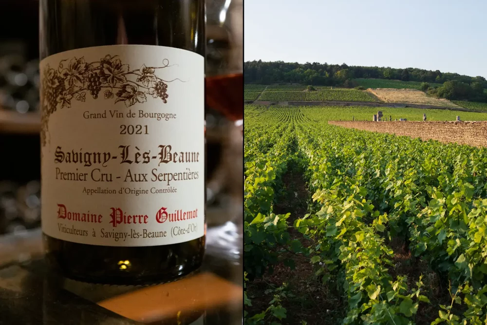 2020 Domaine Pierre Guillemot "Premier Cru Aux Serpentières" Savigny-les-Beaune