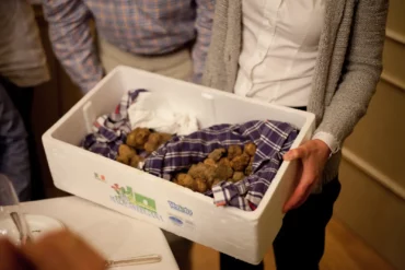 A box of white truffles is presented in the dining room of Ristorante Bovio in La Morra, Italy, October 2012.