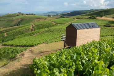 La Cadole du Vigneron is a tiny home situated at the top of the vineyards of Fleurie.