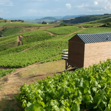 La Cadole du Vigneron is a tiny home situated at the top of the vineyards of Fleurie.