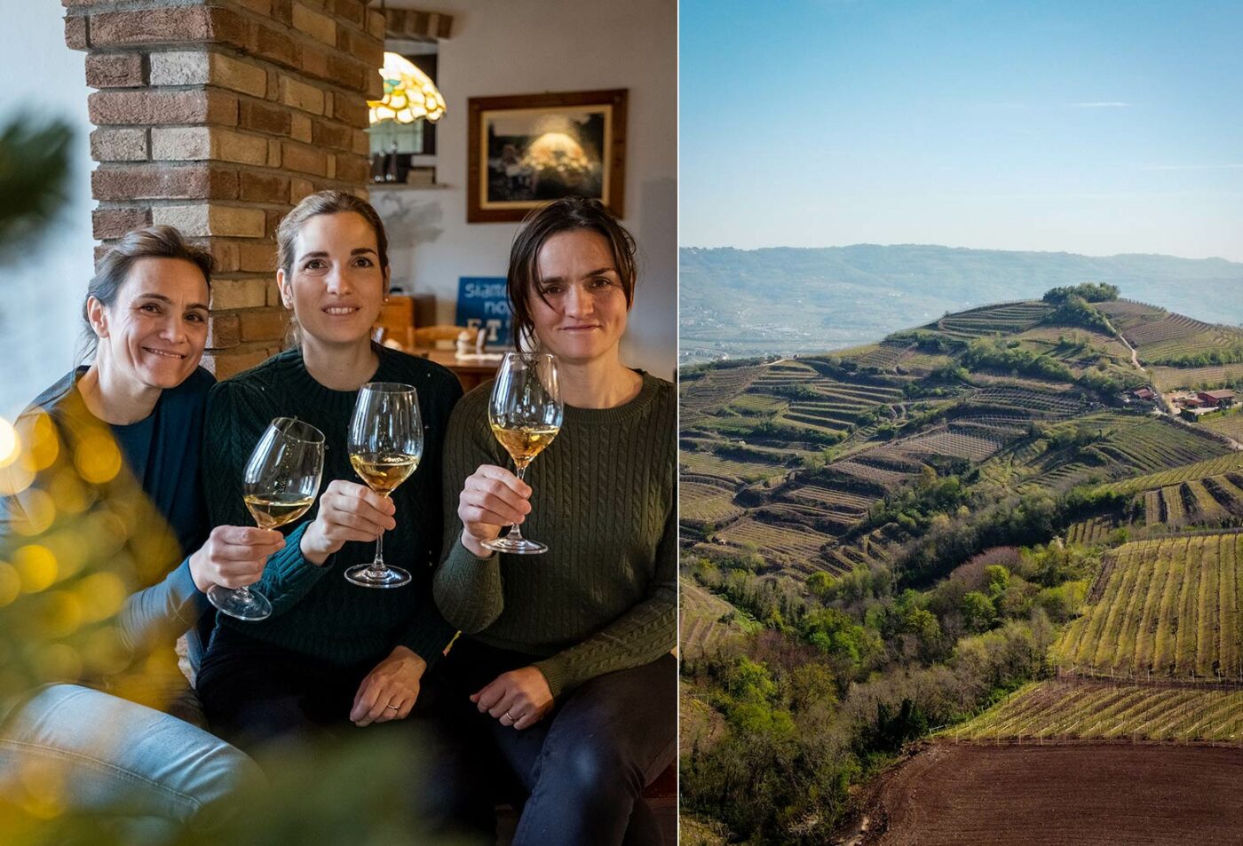 The Tessari family of Soave's Suavia plus a Soave vineyard.