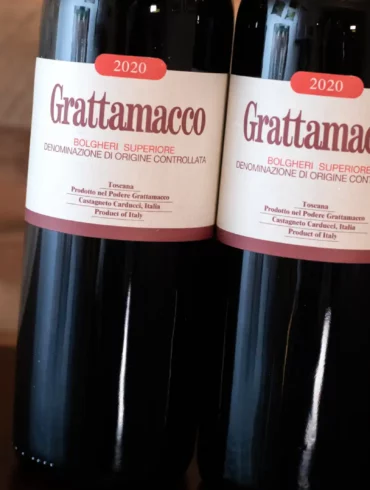 Grattamacco red wine from Tuscany