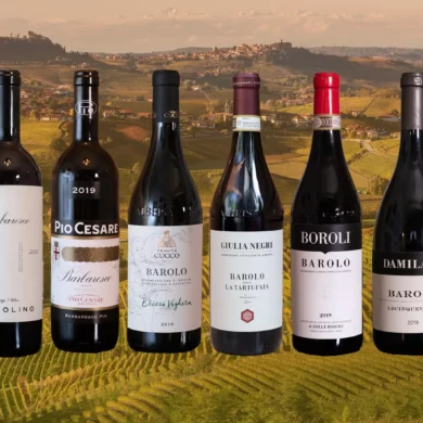 Six bottles of Barolo and Barbaresco wine super imposed over a photo of Serralunga d'Alba