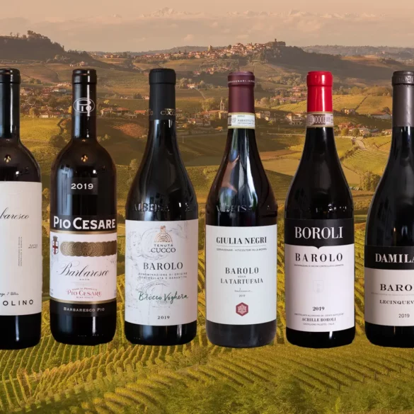 Six bottles of Barolo and Barbaresco wine super imposed over a photo of Serralunga d'Alba