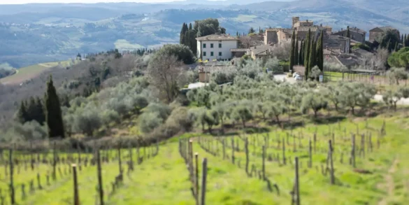 Chianti Classico vineyard landscape from Volpaia in the Radda in Chianti commune of Tuscany, Italy