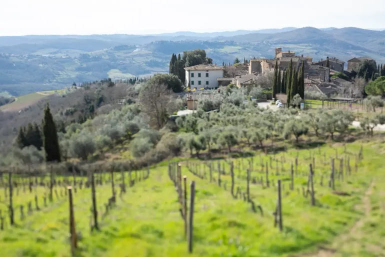 Chianti Classico vineyard landscape from Volpaia in the Radda in Chianti commune of Tuscany, Italy