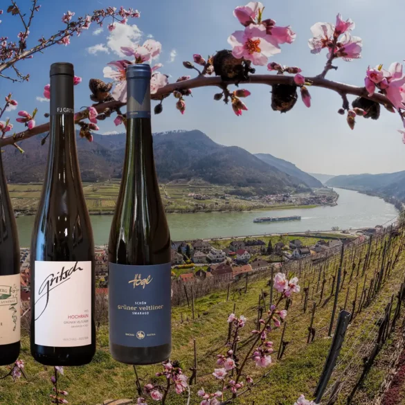 View of the Danube River and Wachau vineyards with three Grüner Veltliner wine bottles.