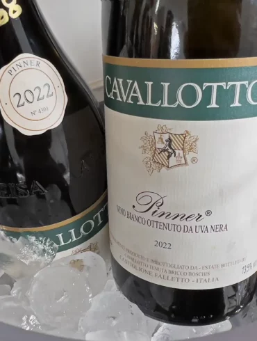 Cavallotto's surprising and underrated white wine from Pinot Nero