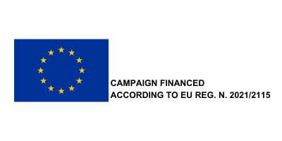 European Union campaign financed by disclosure logo