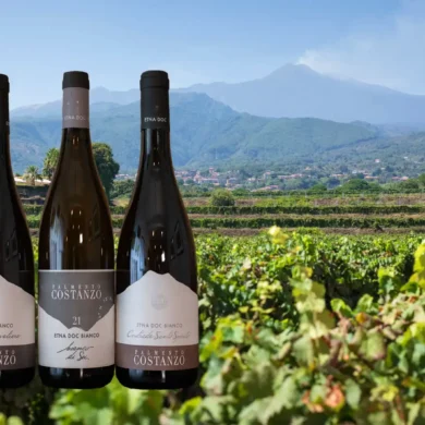 Three Etna Bianco wines from Palmento Costanzo and Mount Etna with vineyards