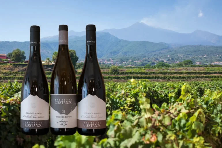 Three Etna Bianco wines from Palmento Costanzo and Mount Etna with vineyards