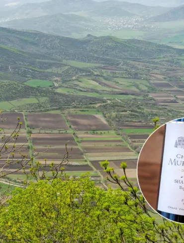 Viticultural landscape of Kartli, Georgia and bottle of Shavkapito wine
