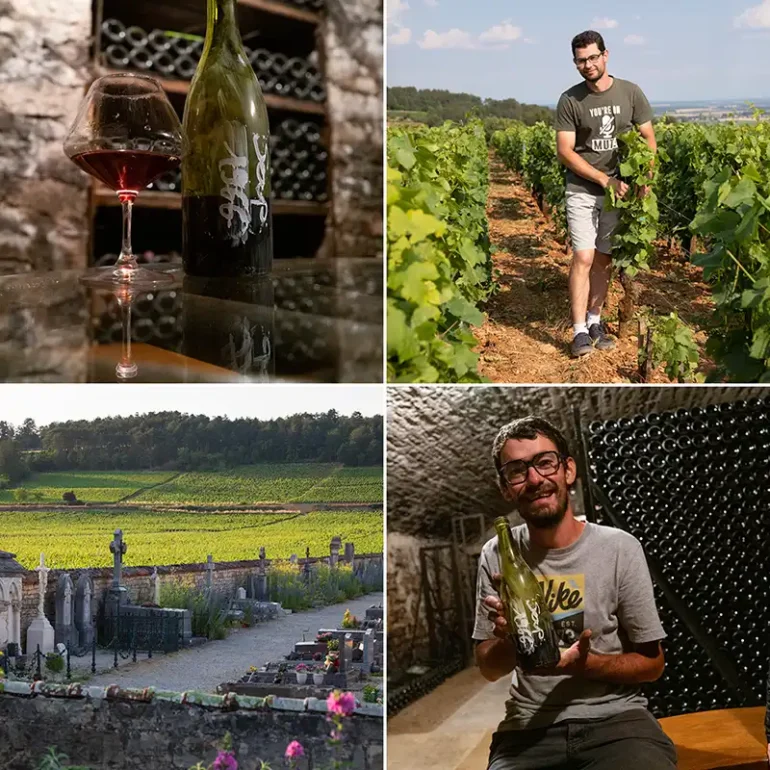 Your Guide to French & Italian Wines: Classes, Reviews, Stories