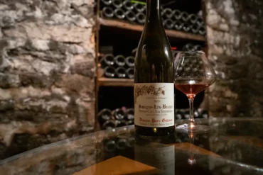 2021 Domaine Pierre Guillemot 1er Cru Aux Serpentieres Savigny-les-Beaune