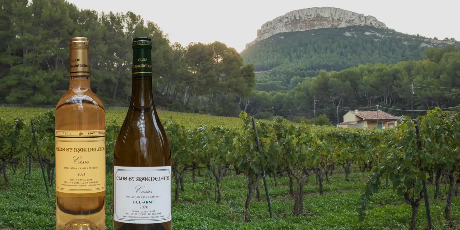 Two bottles of Cassis overlaid on a vineyard photo from Cassis AOC in Provence, France