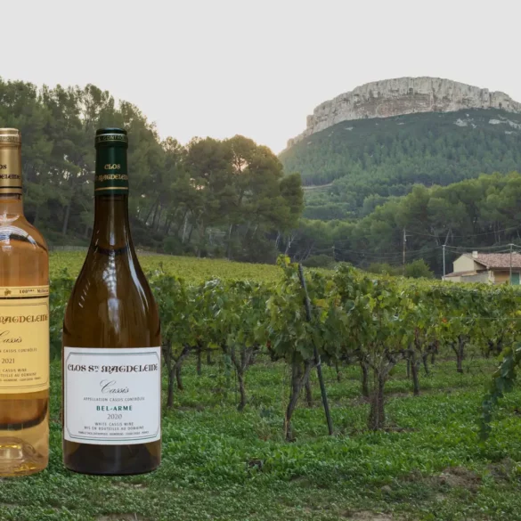 Two bottles of Cassis overlaid on a vineyard photo from Cassis AOC in Provence, France