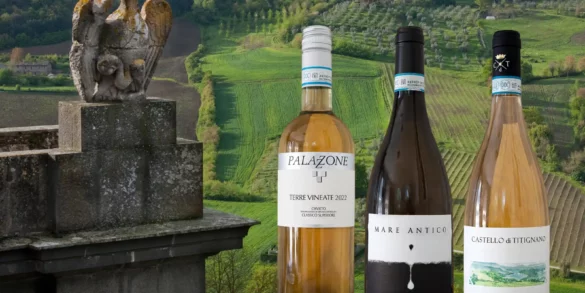 View over the countryside of Orvieto with white wines from the town