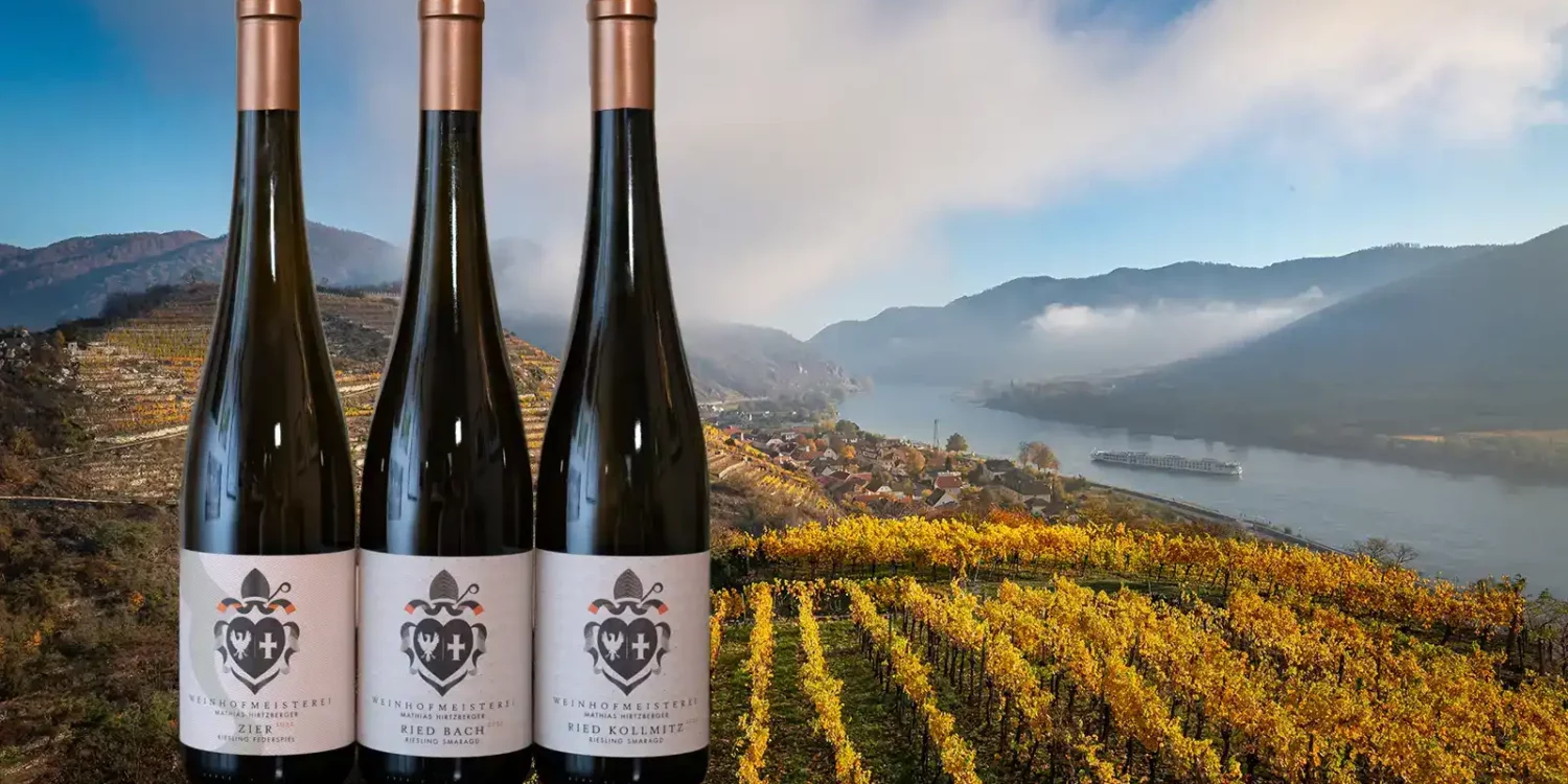Three Wachau Riesling overlaid an image of golden vines along the Danube River in Austria