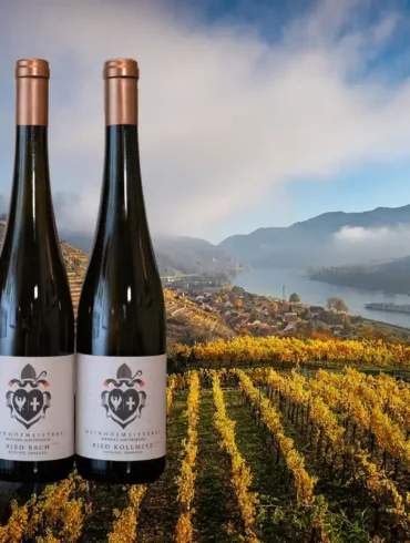 Three Wachau Riesling overlaid an image of golden vines along the Danube River in Austria