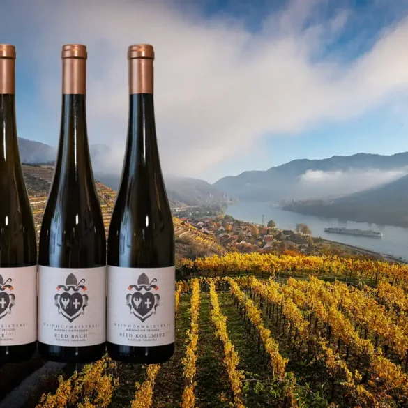 Three Wachau Riesling overlaid an image of golden vines along the Danube River in Austria