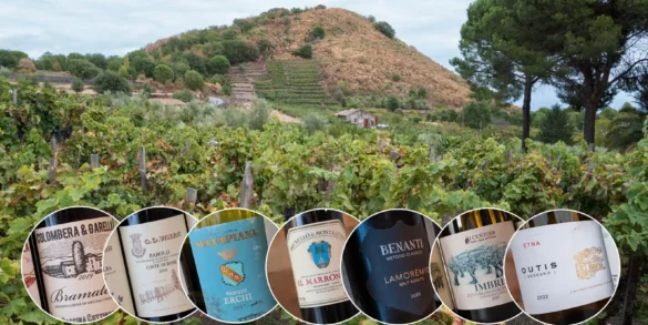 View of Cisterna Fuori and San Nicolo vineyard at Azienda Agricola Biondi with 7 top Italian wine bottles in circles overlaid on top of image