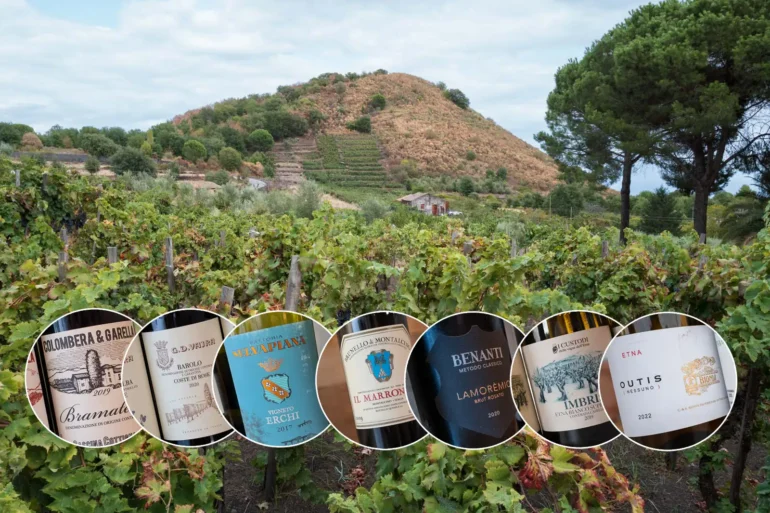 View of Cisterna Fuori and San Nicolo vineyard at Azienda Agricola Biondi with 7 top Italian wine bottles in circles overlaid on top of image