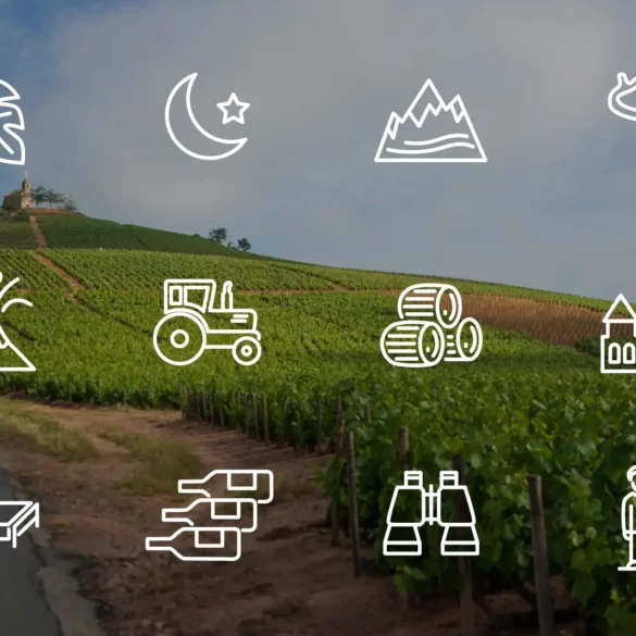 Opening a Bottle wine icons