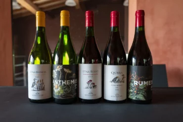 The wines of Monteleone