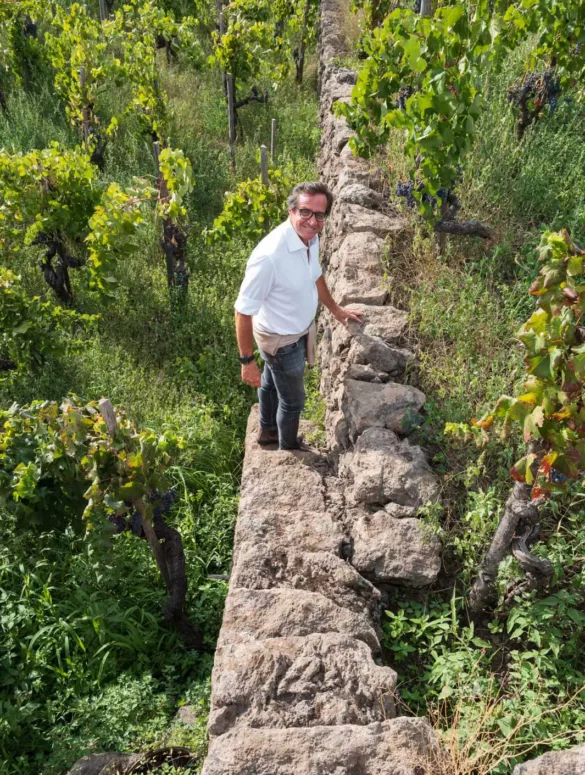 Owner Mario Paoluzi climbs down into the Saeculare vineyard. ©Kevin Day/Opening a Bottle